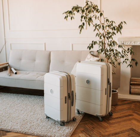 Szőnyeg Diszkont Webáruház