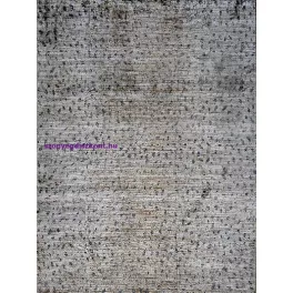 Ber. Laila 6542 bézs 200x300cm szőnyeg