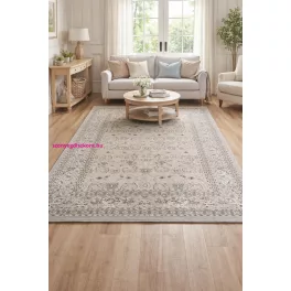 Den. Aura klasszikus szőnyeg 200 x 290cm Szürke 5699