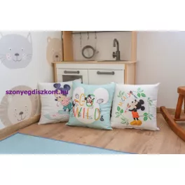 Disney Kispárnahuzatok