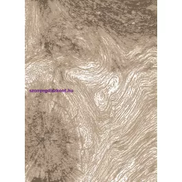 Ber. Zara 9660 bézs 60x100cm Szőnyeg