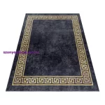Ay. FIESTA 4305 BLACK 200X290 szőnyeg
