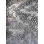 Ber. Vals 8375 Szürke 80X150Cm Szőnyeg