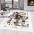 Ay. FIESTA 4306 WHITE 140X200 szőnyeg