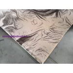 Ber. Vals 8003 Bézs 160X230Cm Szőnyeg