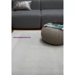 ASY Ascot szőnyeg 200x290cm Silver