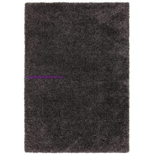 ASY Ritchie 080x150cm Charcoal Rug