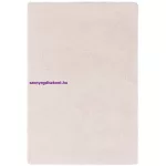 ASY Ritchie 080x150cm Cream Rug