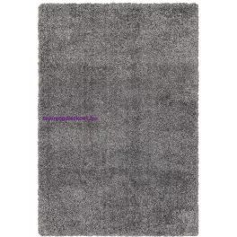 ASY Ritchie 080x150cm Grey Rug