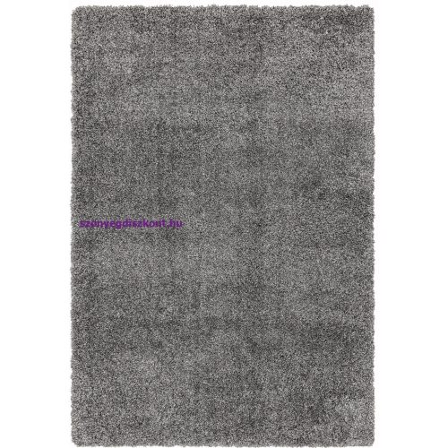 ASY Ritchie 080x150cm Grey Rug