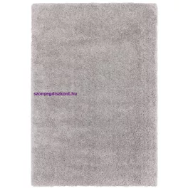 ASY Ritchie 080x150cm Light Grey Rug