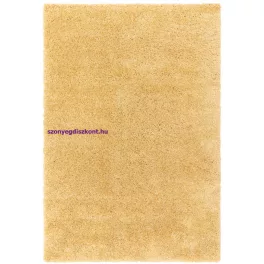 ASY Ritchie 080x150cm Yellow Rug