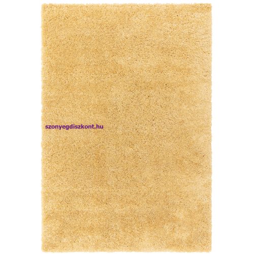 ASY Ritchie 080x150cm Yellow Rug