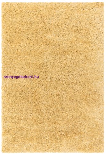 ASY Ritchie 080x150cm Yellow Rug