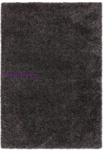 ASY Ritchie 120x170cm Charcoal Rug