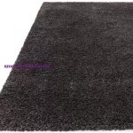 ASY Ritchie 120x170cm Charcoal Rug