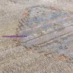 ASY Zola 120x170cm Lisar Rug