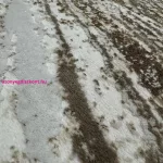 Den. Sunset new 0838 Bézs 120x170cm modern szőnyeg