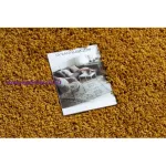 Kab. Szőnyeg SOFFI shaggy 2cm arany 180x270 cm