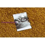 Kab. Szőnyeg, futószőnyeg SOFFI shaggy 2cm arany -80x250 cm