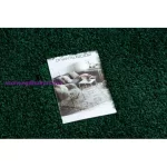 Kab. Szőnyeg, futószőnyeg SOFFI shaggy 2cm zöld -60x300 cm