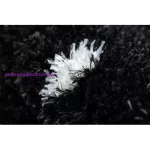 Kab. Szőnyeg FLUFFY 2370 shaggy pontok - antracit / fehér 120x170 cm