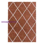 Ay. ALVOR 3401 TERRA 60 X 110