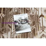 Kab. Modern MEFE szőnyeg B402 Vintage - sötét bézs 140x190 cm