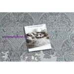 Kab. CORE szőnyeg W3824 Ornament Vintage - Structural, két szintű, világoskék / krém / szürke 180x270 cm