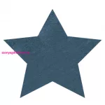 Kab. Modern mosható szőnyeg SHAPE 3148 Csillag shaggy - kék plüss, csúszásgátló 80x80 cm