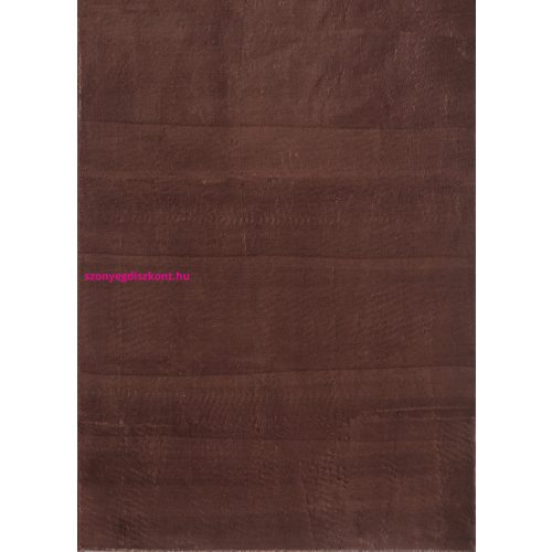 Ay. CATWALK 2600 120 x 160 cm barna Modern szőnyeg