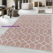EFOR 3713 ROSE 120 X 170