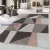 Ay. EFOR 3716 ROSE 140 X 200 szőnyeg