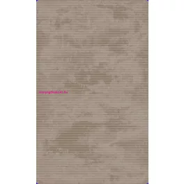 Ber. EFORIA 9551 barna 200 x 290 cm modern szőnyeg