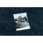 Kab. Szőnyeg BERBER 9000 kék Rojt shaggy 80x150 cm