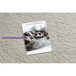 Kab. Szőnyeg BERBER 9000 krém Rojt shaggy 160x220 cm