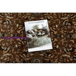 Kab. Royal adr szőnyeg, futószőnyeg 1745 barna - a folyosóra 80x250 cm