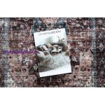 Kab. ANDRE 1826 mosható szőnyeg vintage csúszásgátló - barna / kék  160x220 cm