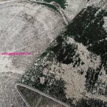 Szőnyeg Dy. Otto 04 szürke-zöld 80 x 150 cm