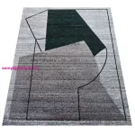 Szőnyeg Dy. Otto 06 szürke-zöld 160 x 220 cm