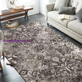 Szőnyeg Modern Dy. Panamero 08 N 60 x 100 cm