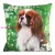 Animal74 kutyás párnahuzat Zöld 45x45 cm