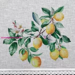Cloe citrom mintás vitrázs függöny Fehér 90x150 cm
