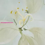 Reina58 pamut-szatén ágyneműhuzat Menta 220x200 cm - 70x80 cm 2db