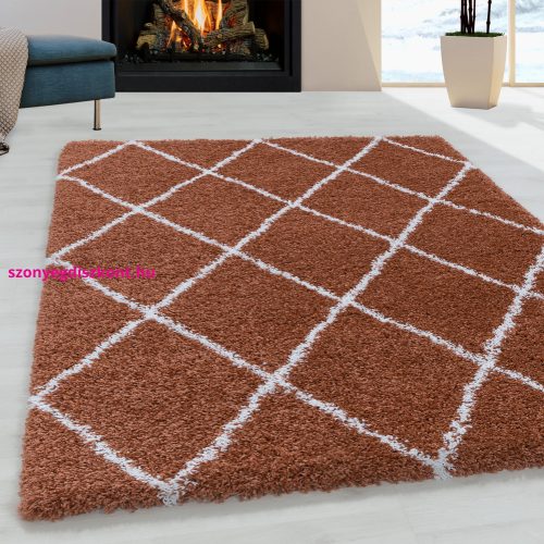 Bolti 9. Ay. ALVOR 3401 TERRA 140 X 200 szőnyeg