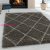 Bolti 9. Ay. ALVOR 3401 TAUPE 140 X 200 szőnyeg