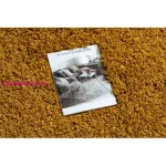 TOP! Kab. Szőnyeg, futószőnyeg SOFFI shaggy 2cm arany -60x200 cm